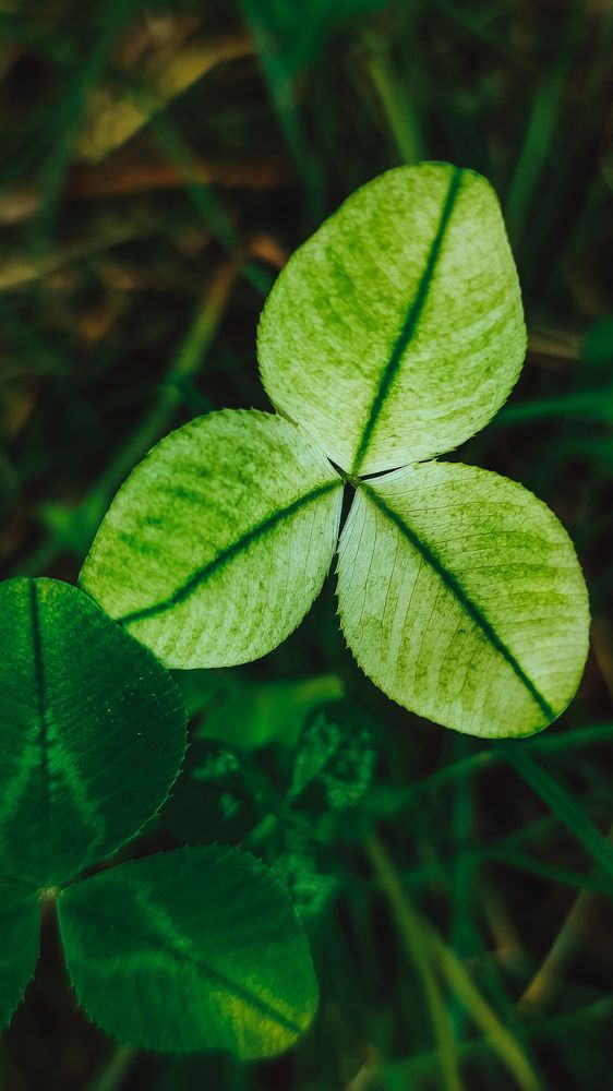 Photograph by Ирина Строкова