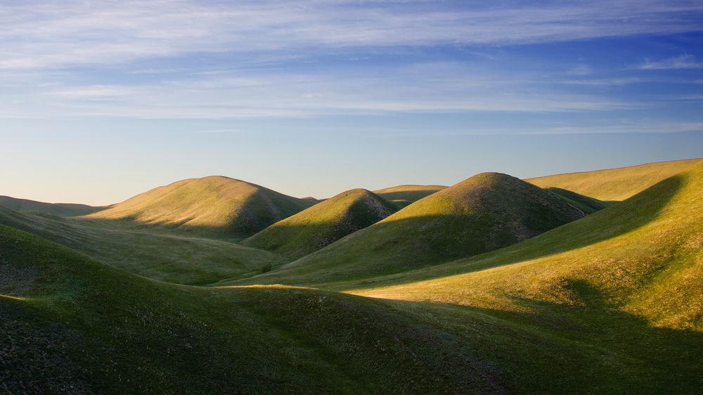 Фотография автора Ольга Белоусова