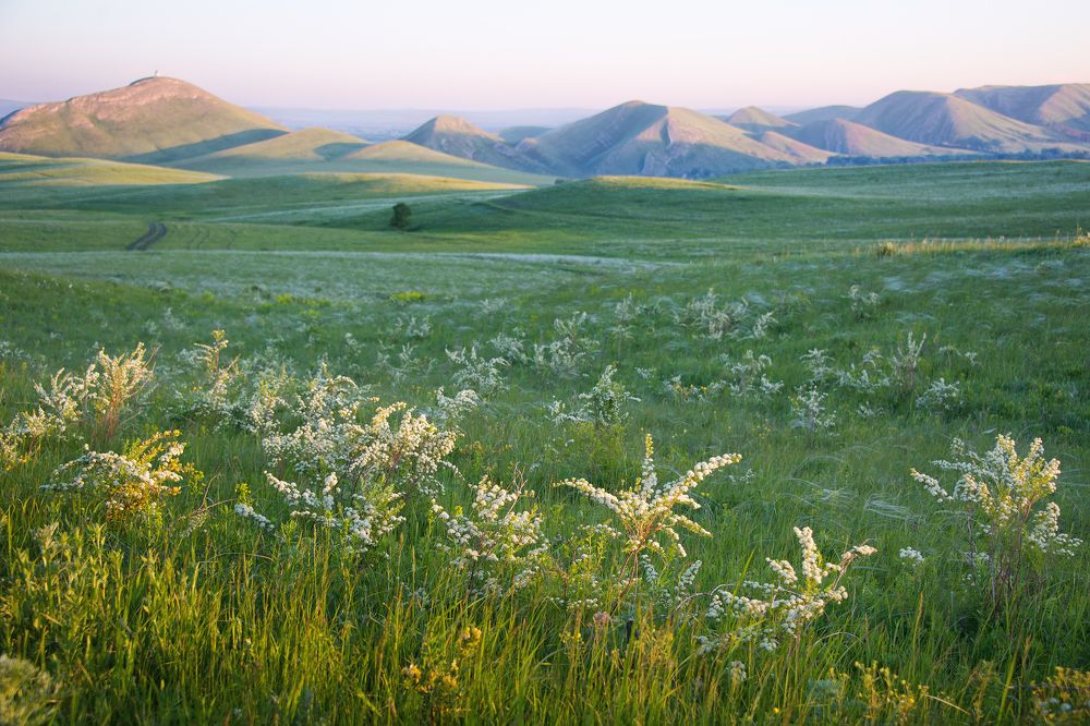 Фотография автора Ольга Белоусова