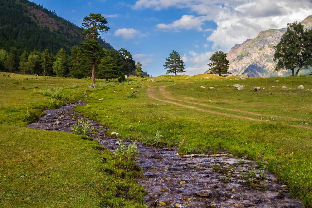 Photograph by Алексей