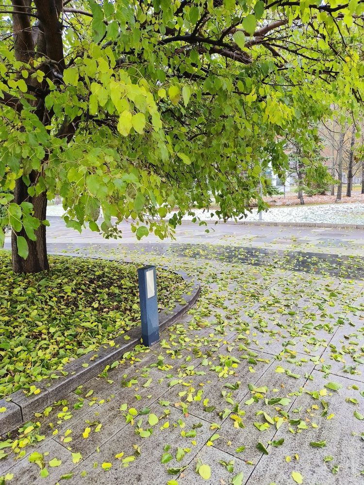 Photograph by Наталья Яковлева