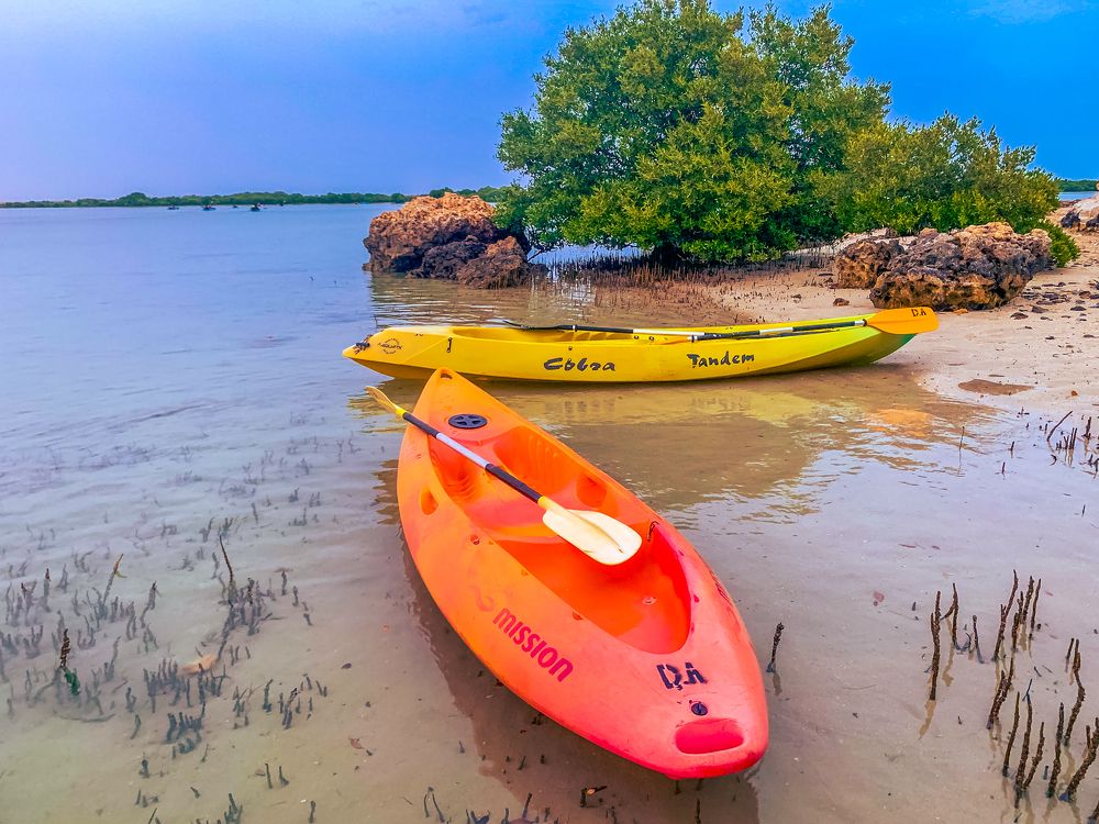 Photograph by Arnab Sarkar