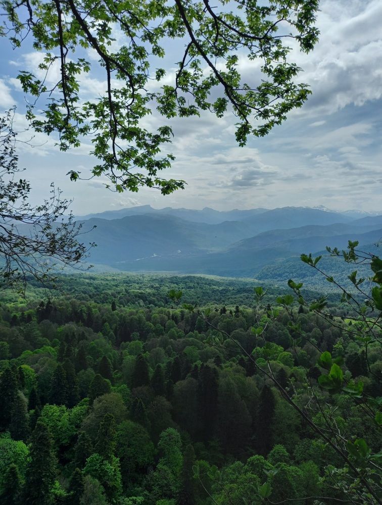 Photograph by Диана Савостина
