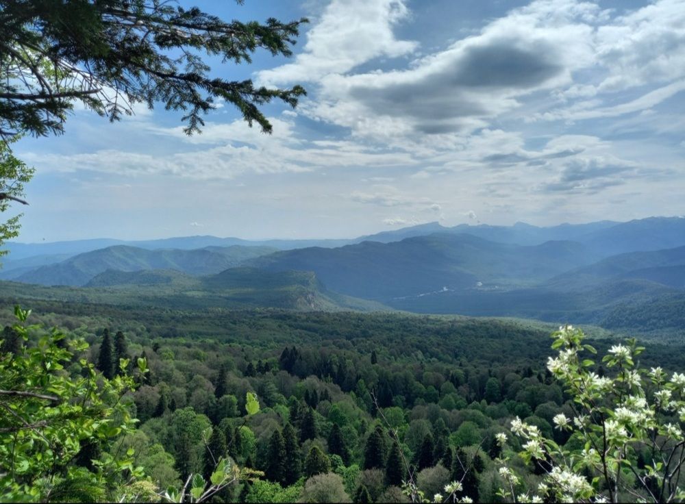Photograph by Диана Савостина