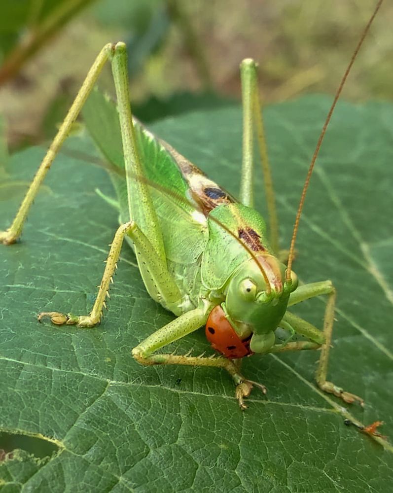 Photograph by Ольга Салтыкова