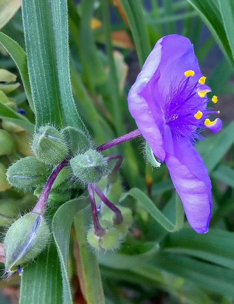 Photograph by Ольга Салтыкова