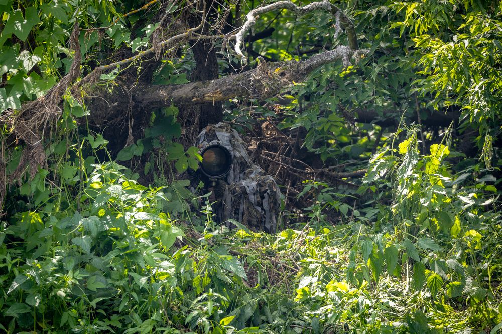 Photograph by Антон Науменко