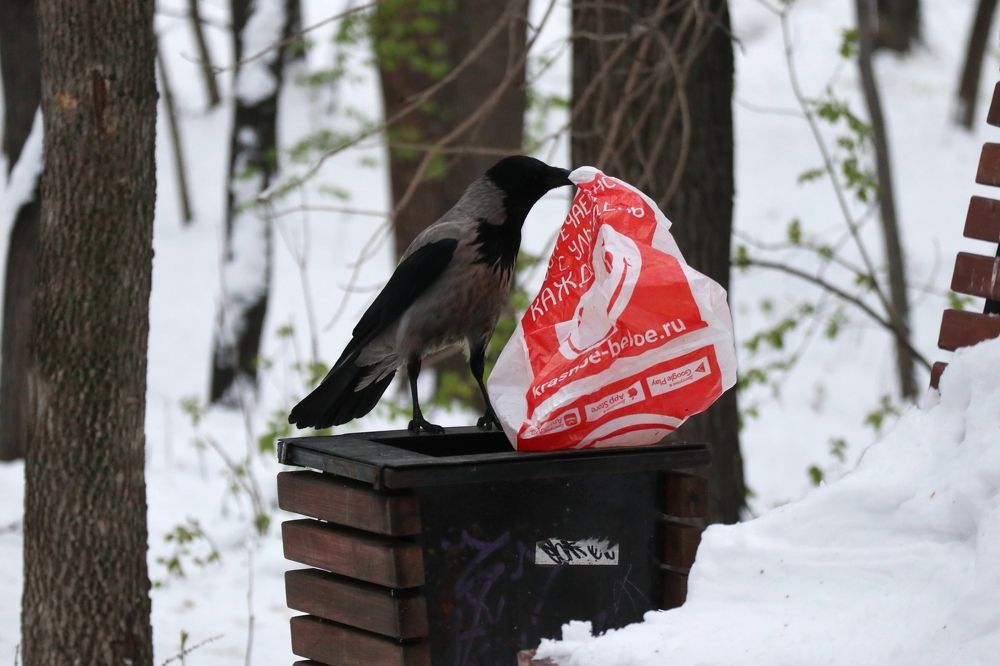 Photograph by Мария Глухова