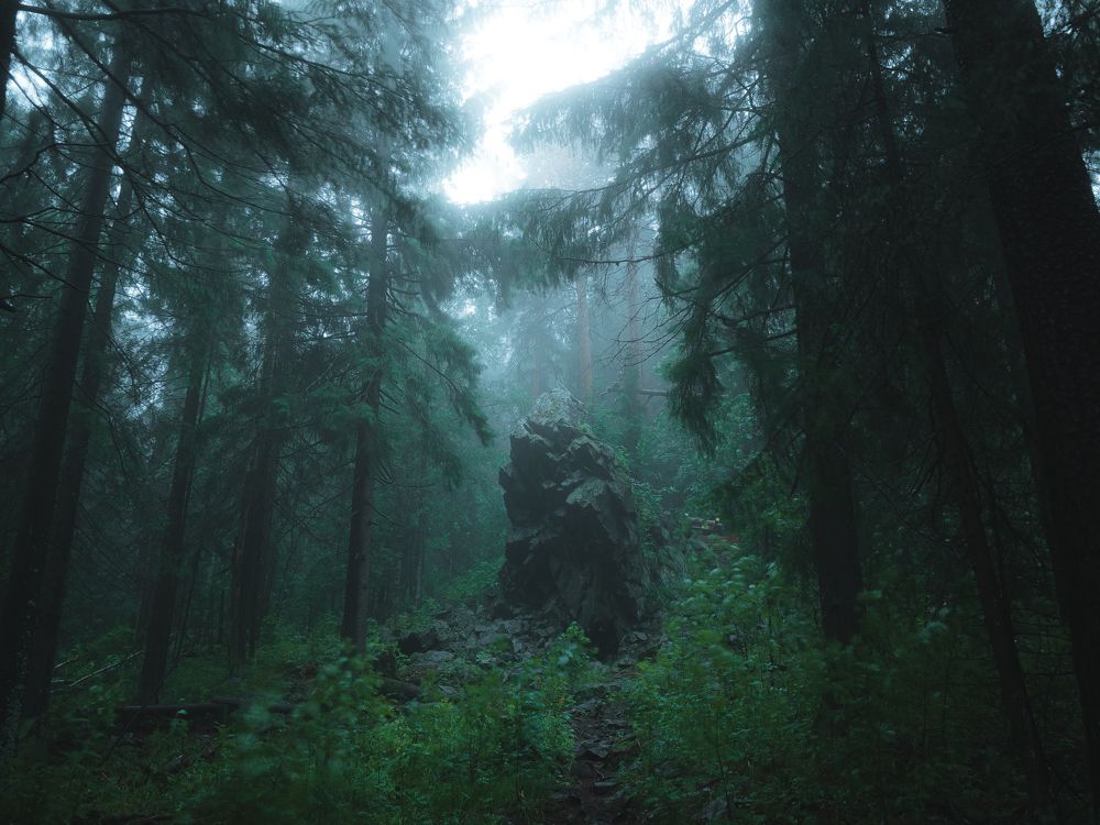 Фотография автора Вячеслав Бобин