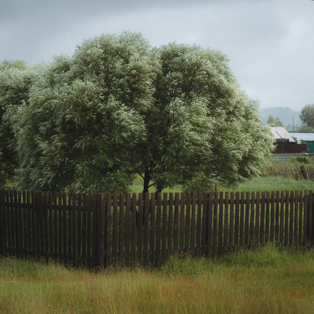 Фотография автора Вячеслав Бобин