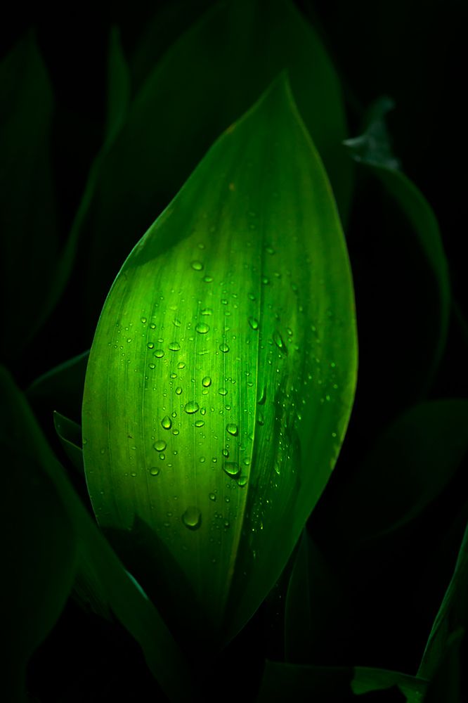 Photograph by Смирнов Алексей