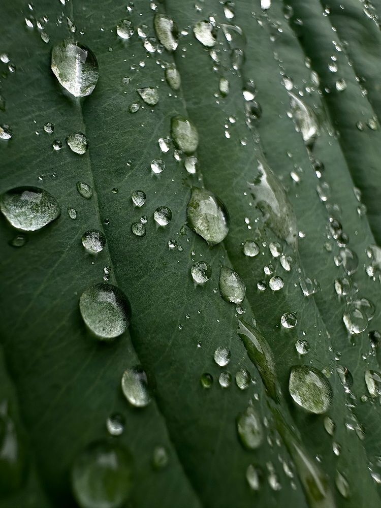 Photograph by Екатерина Балакина