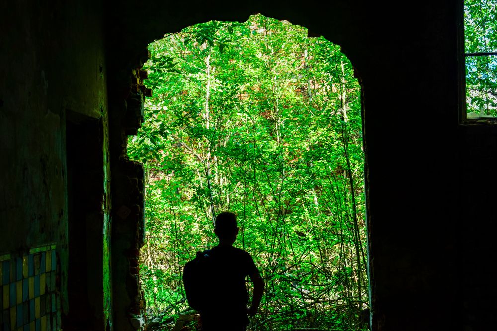 Photograph by Савелий Канцедал