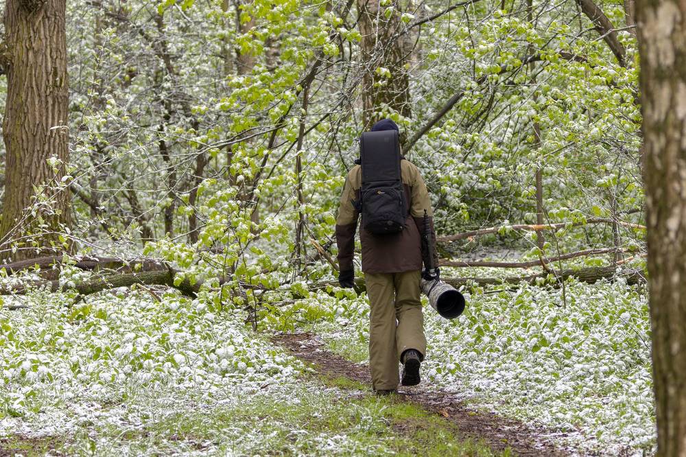 Photograph by Антон Науменко