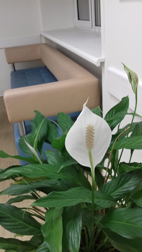 Photograph by Галина Петрушенко