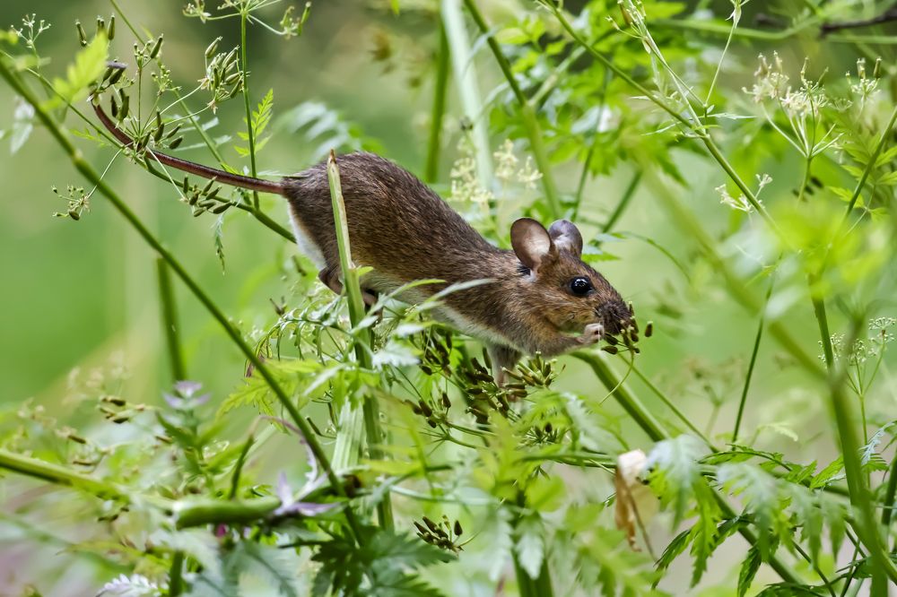 Photograph by Руслан Pl