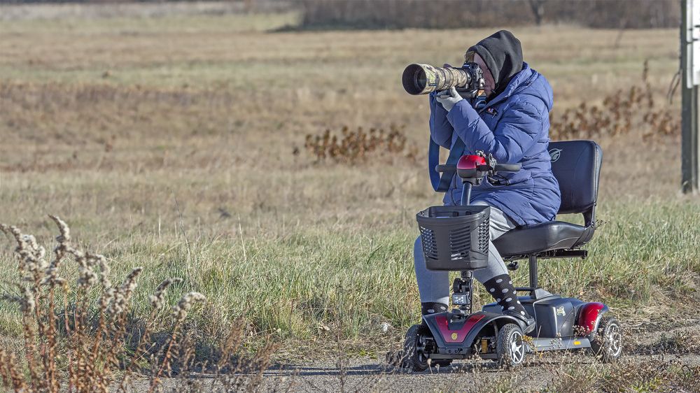 Photograph by Гришанов Пётр