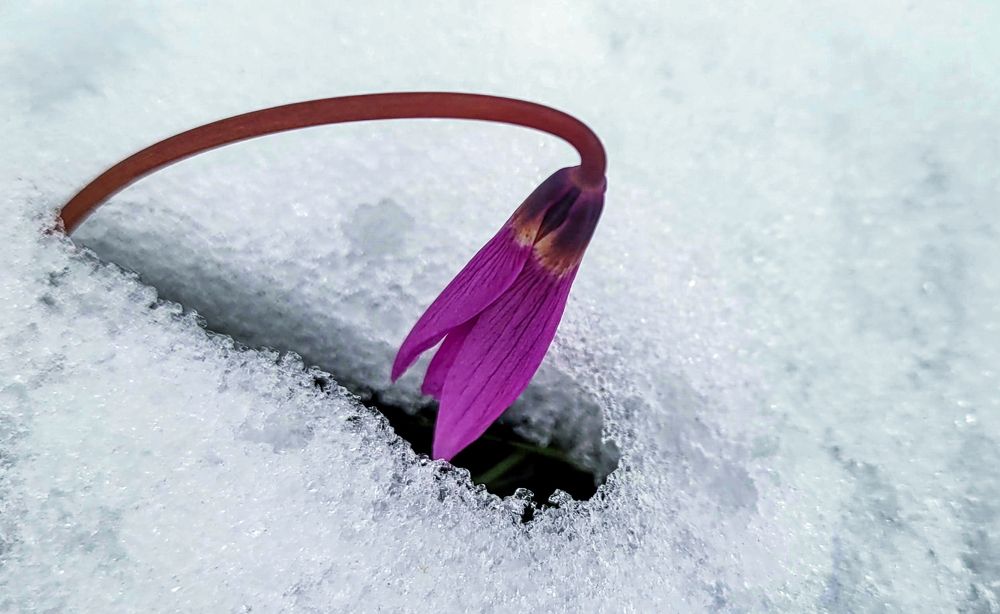 Весна. Пробуждение