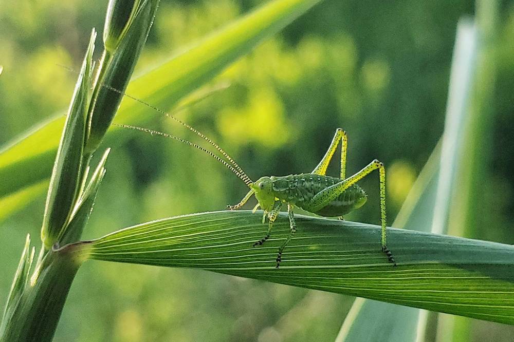 Photograph by Сергей Кравченко