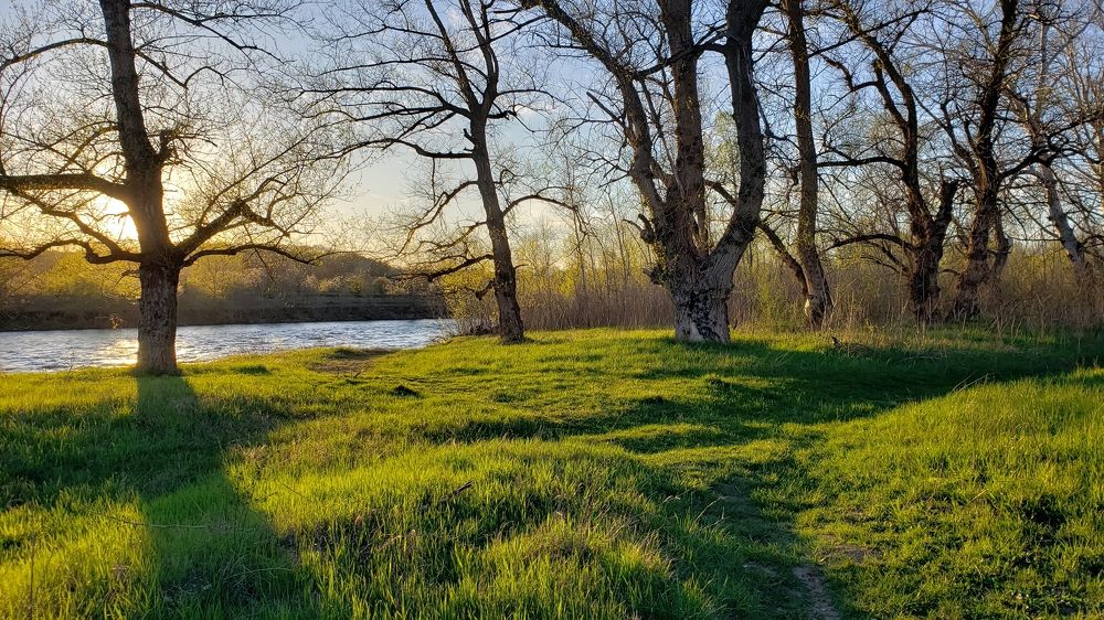 Photograph by Сергей Кравченко