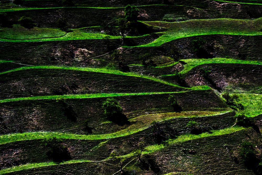 Photograph by Валерий Одинцов