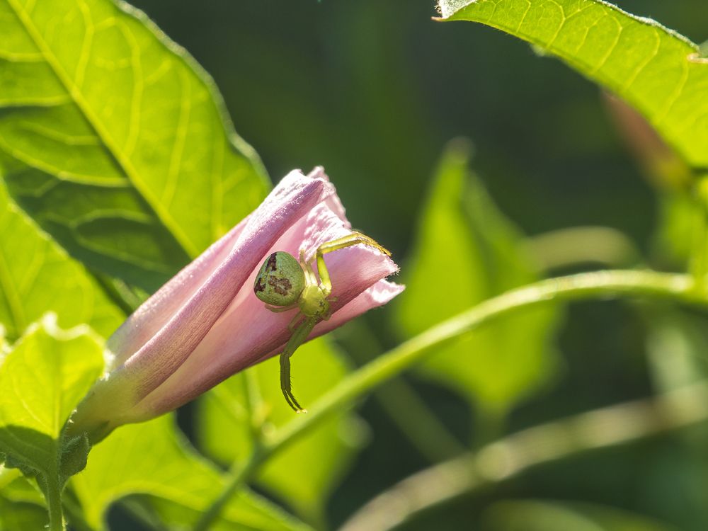 Photograph by Надежда Михайлина