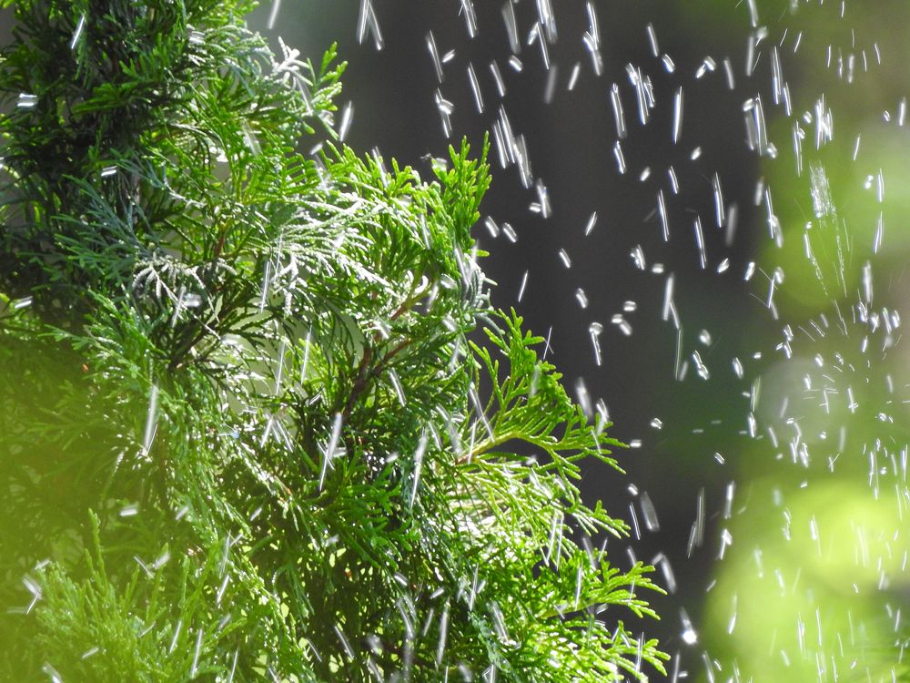 Photograph by Елена Старкова