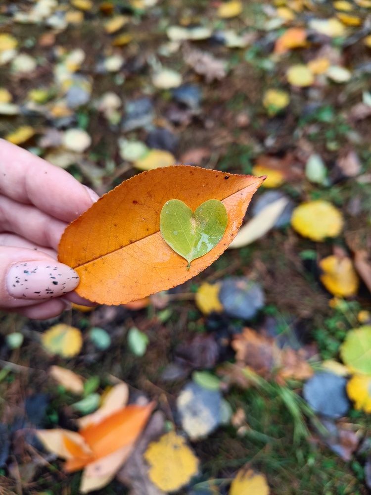 Photograph by Карина Слабкая