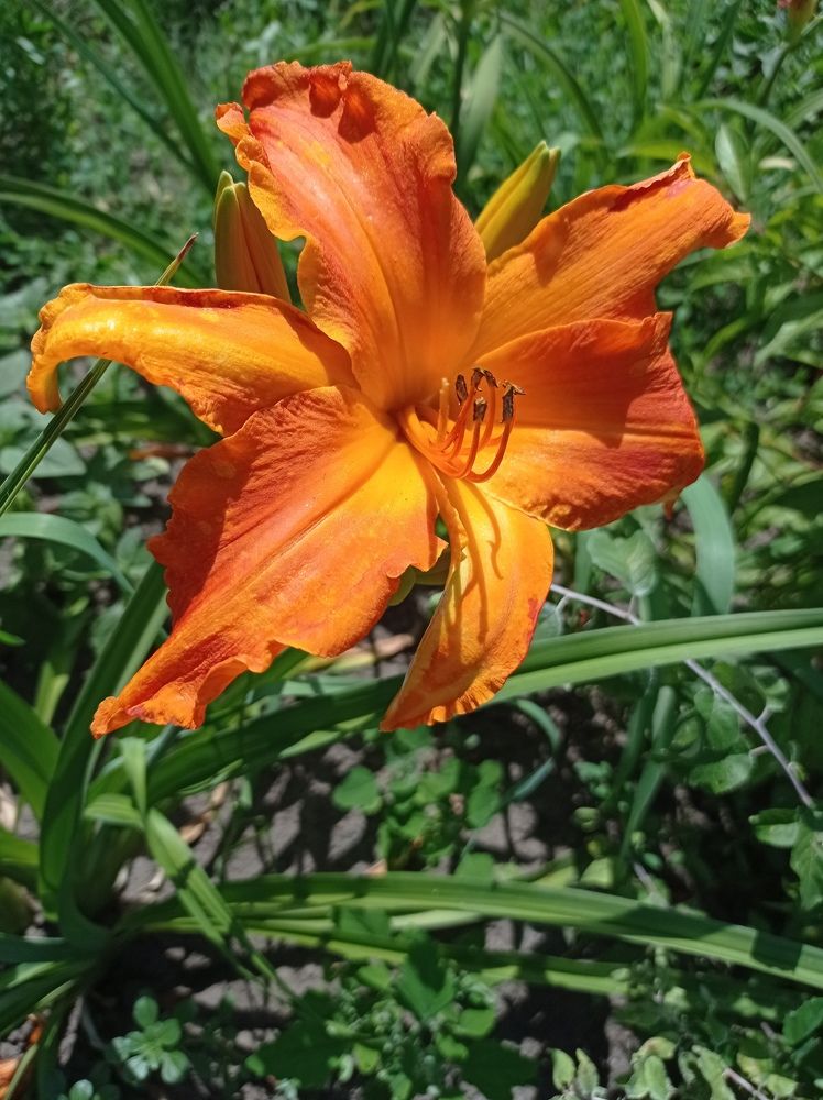 Photograph by Ирина Марченко