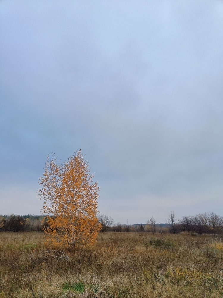 Photograph by Карина Слабкая