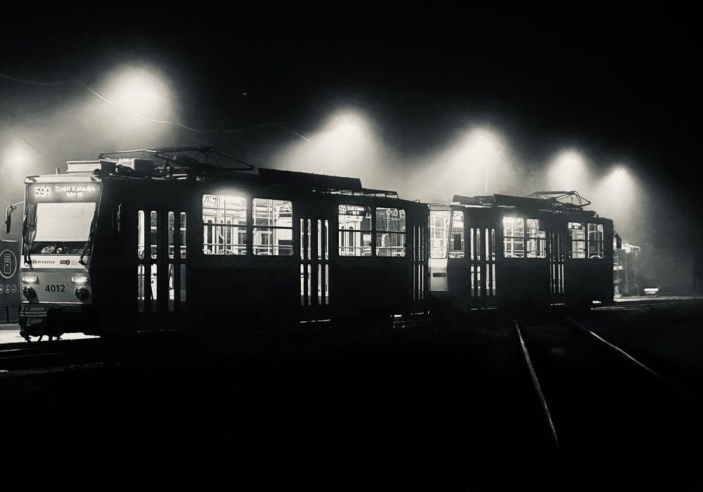 Photograph by Peter TOTH