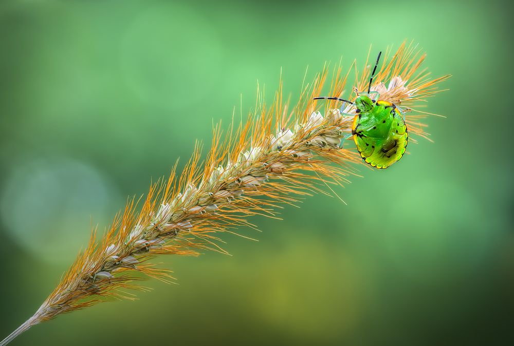 Photograph by Atul Saluja