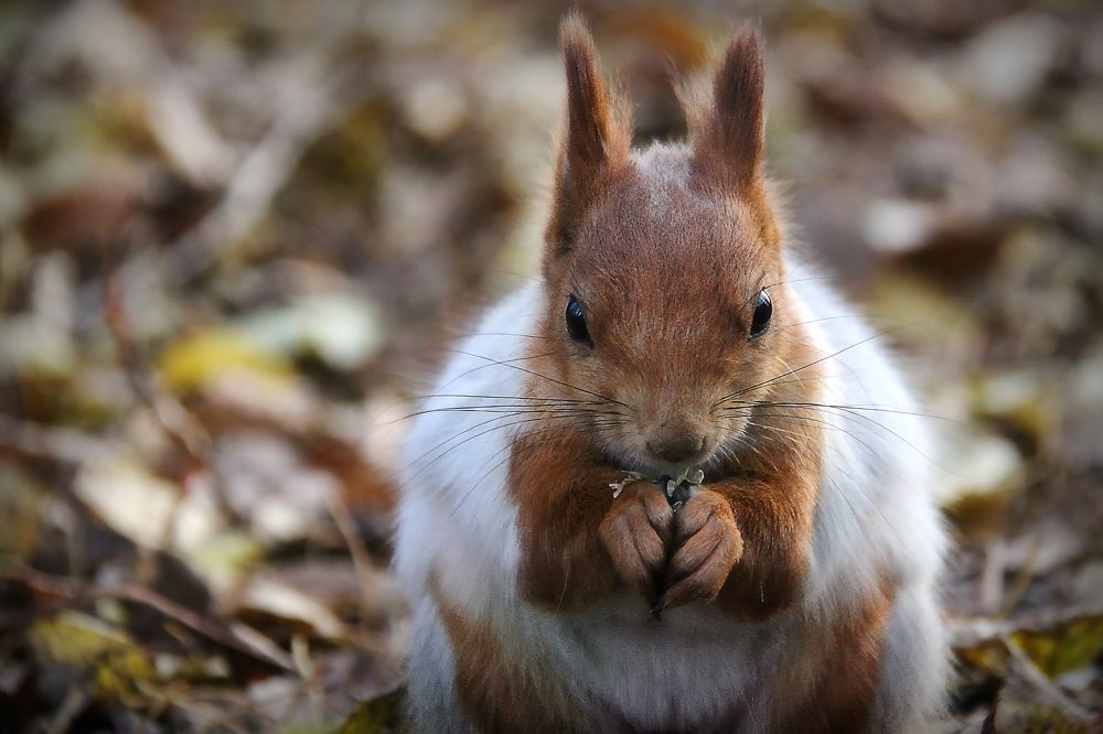 Фотография автора Марина Юдинских
