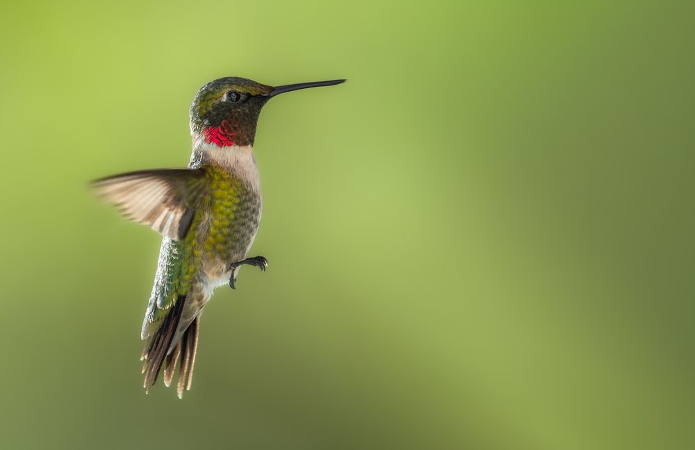 Photograph by Atul Saluja