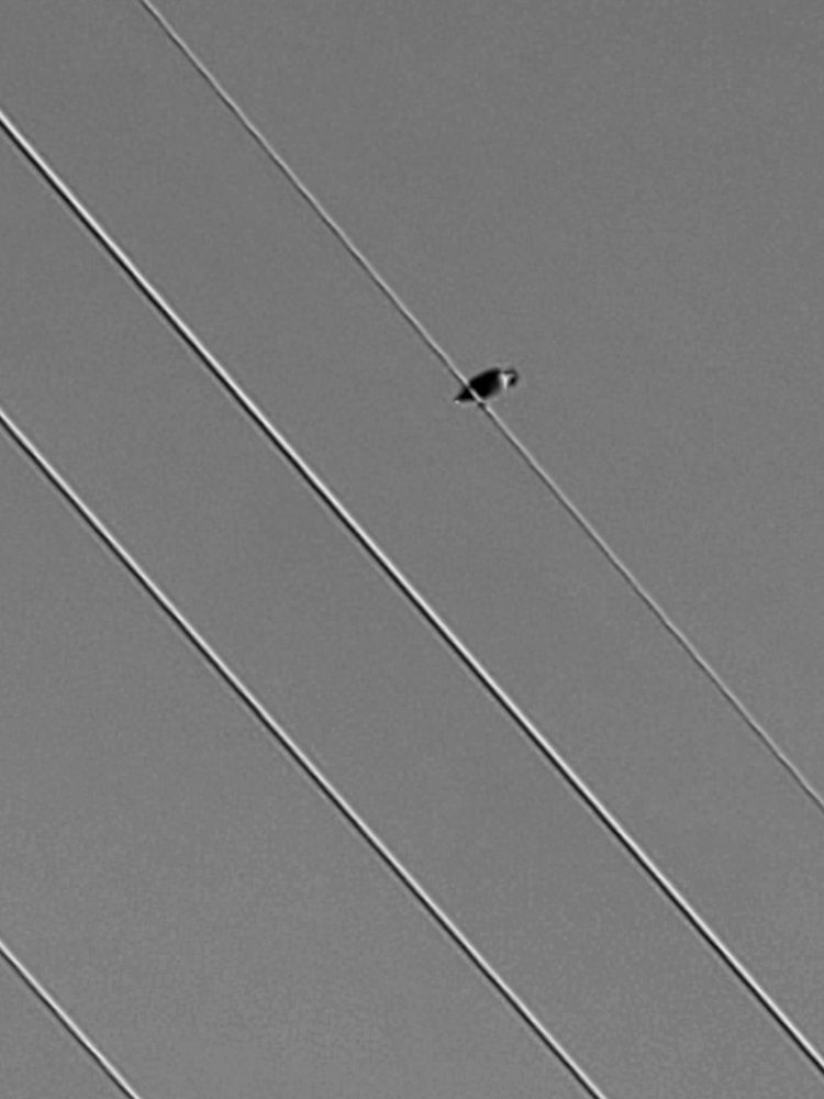 Photograph by Татьяна Пирс