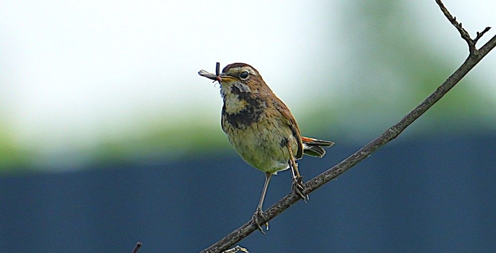 Photograph by Михаил Трусов