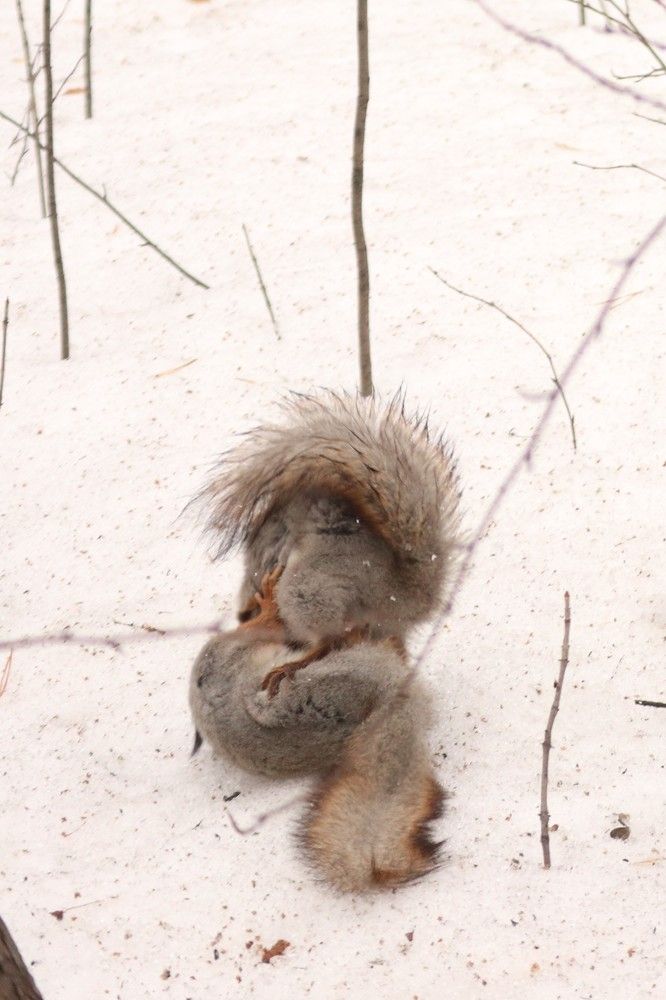 Photograph by Мария Глухова