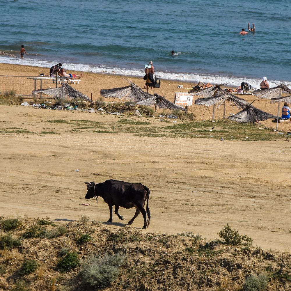 Photograph by Анна Стрелковская