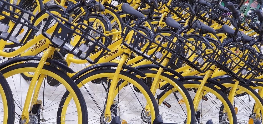 Photograph by Régis Santos