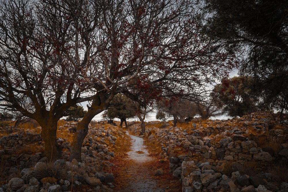 Фотография автора frankies photography