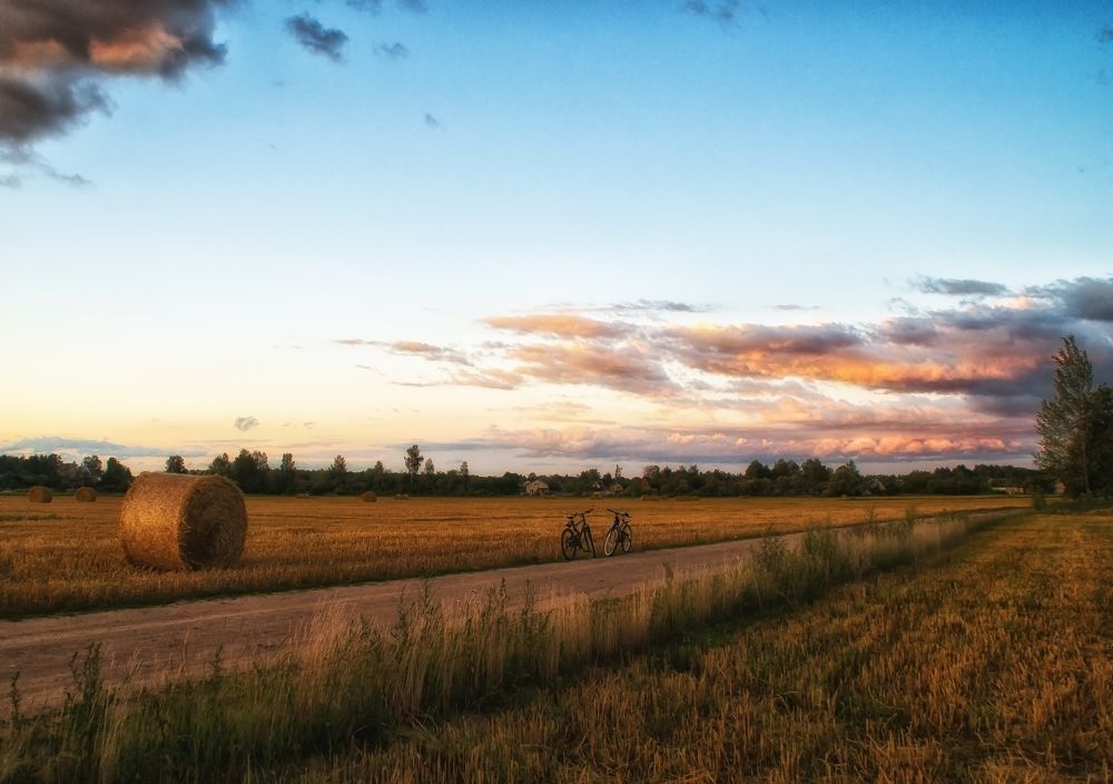 Фотография автора Юлия Кранина