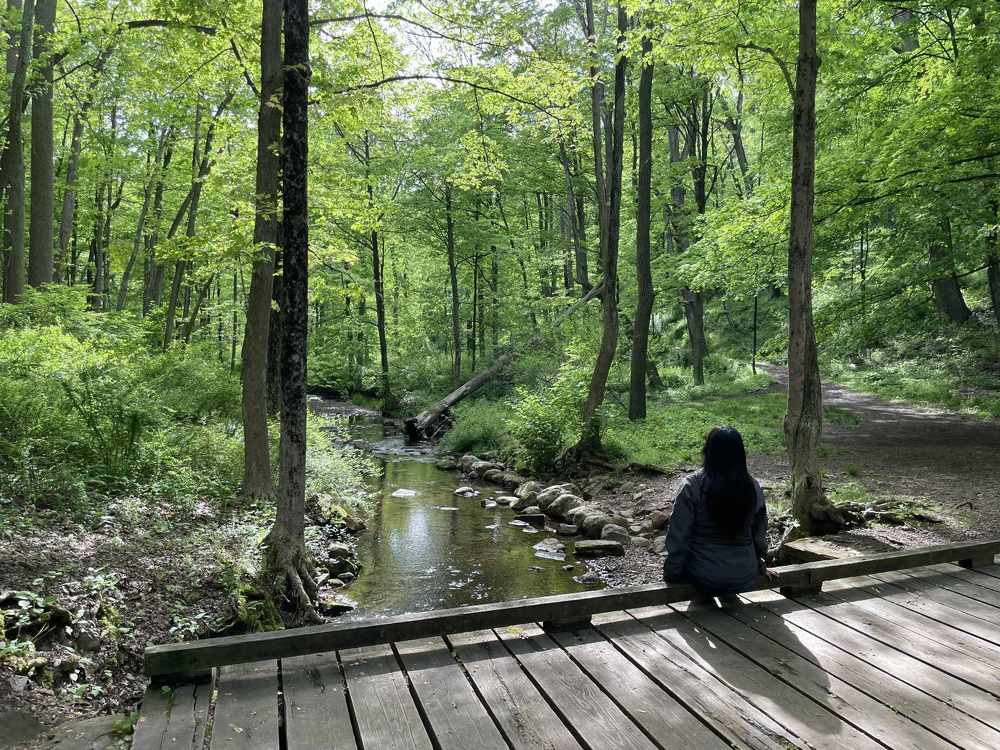 Фотография автора Adriana Rocha