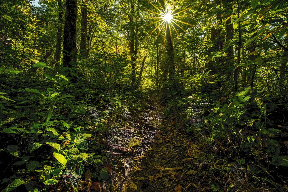 Photograph by Валерий Одинцов