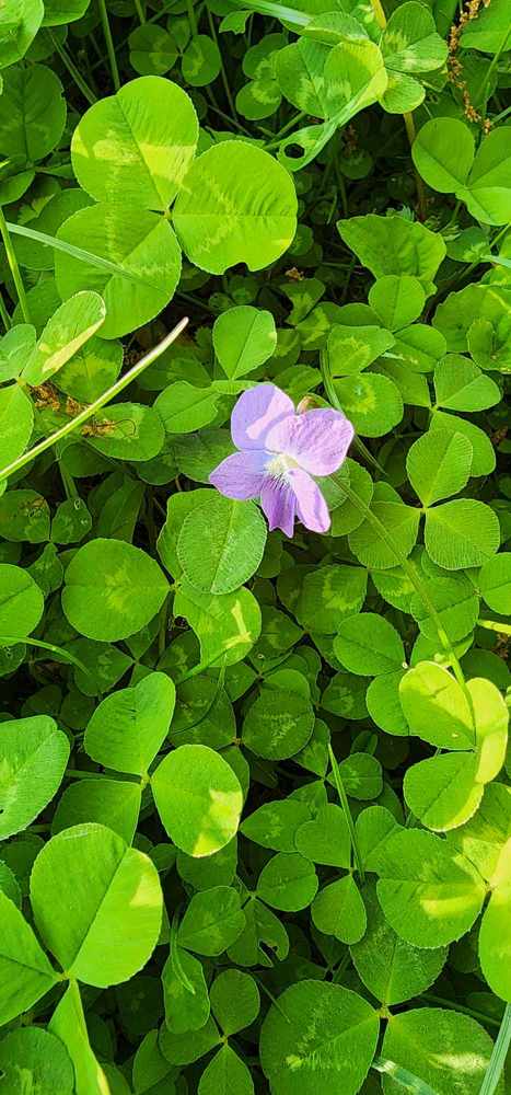 Фотография автора Adriana Rocha