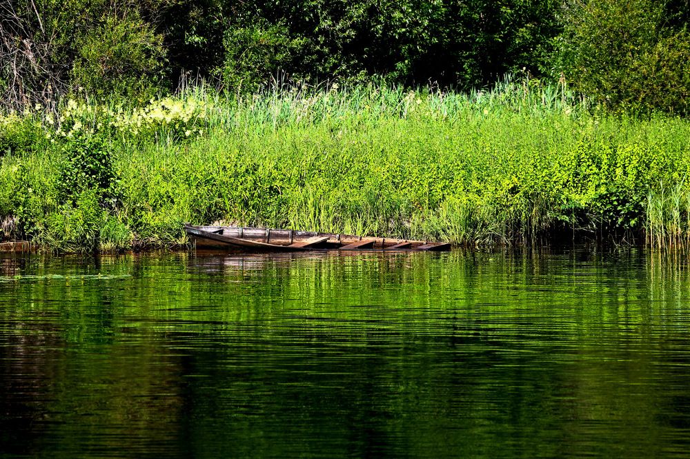 Photograph by Владимир Говоров