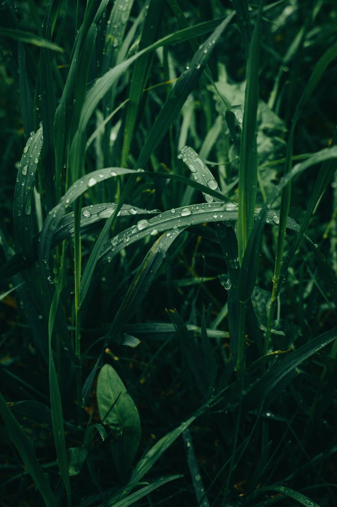 Photograph by Kanat Amre