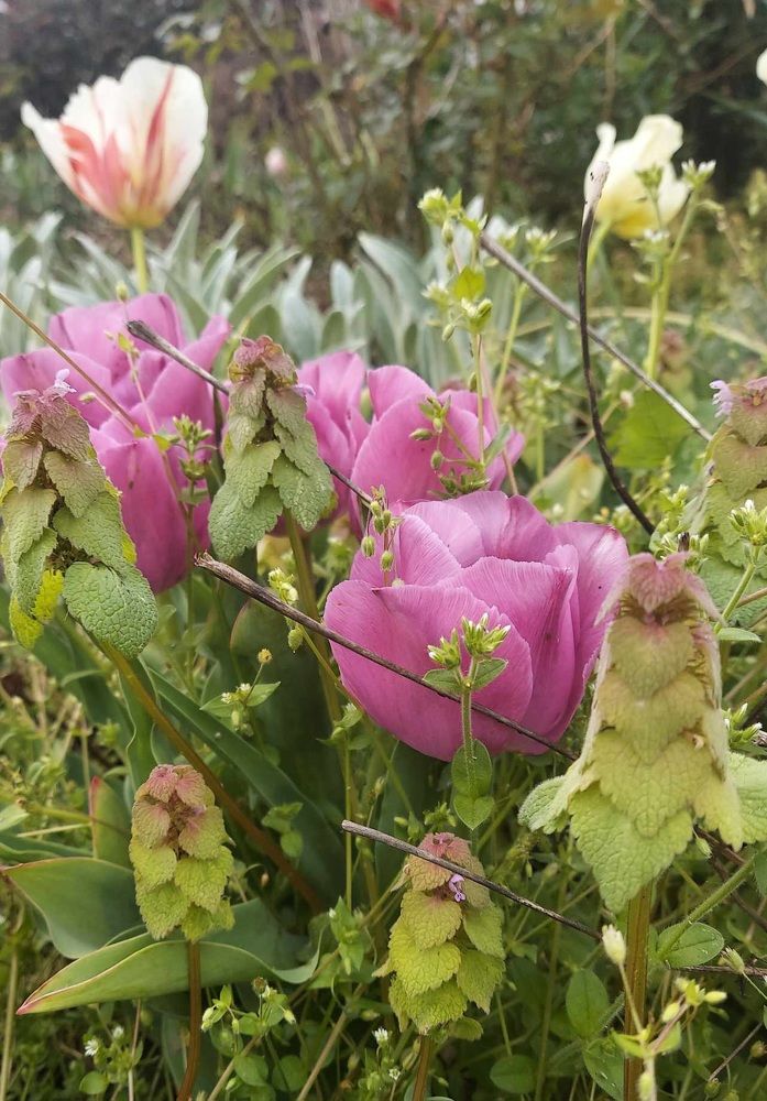 Фотография автора Adriana Rocha