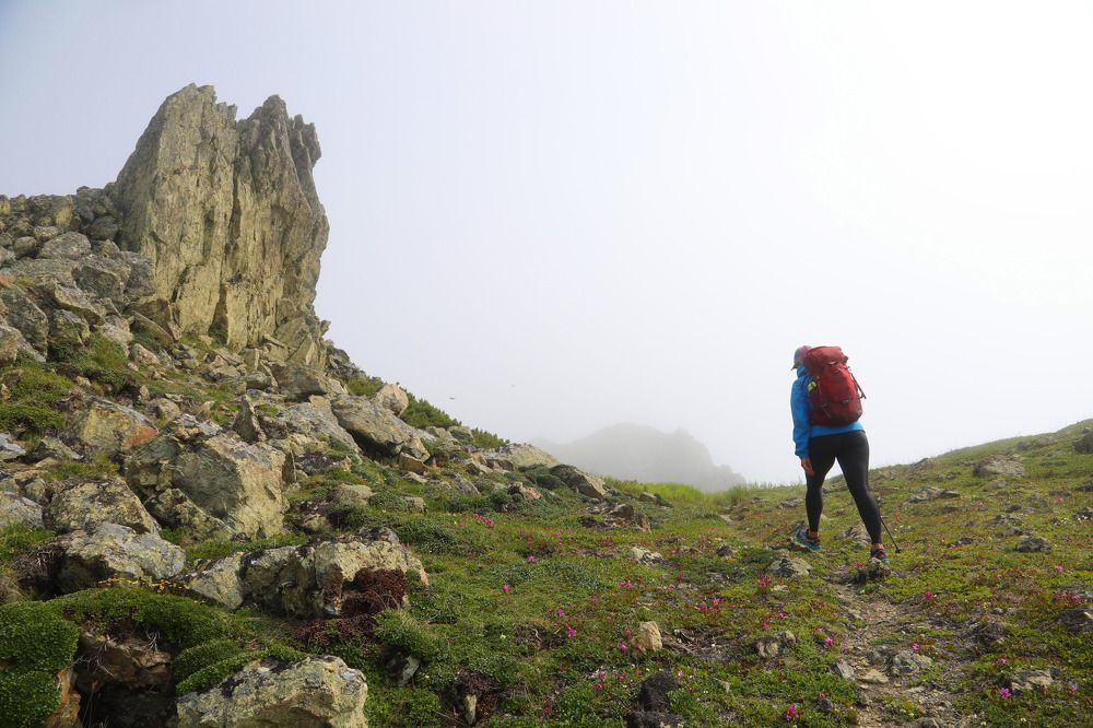 Только вперёд