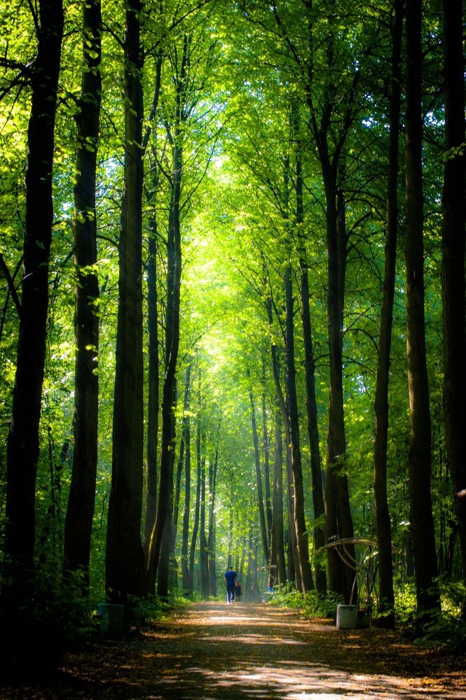 Photograph by Marina Mossiy