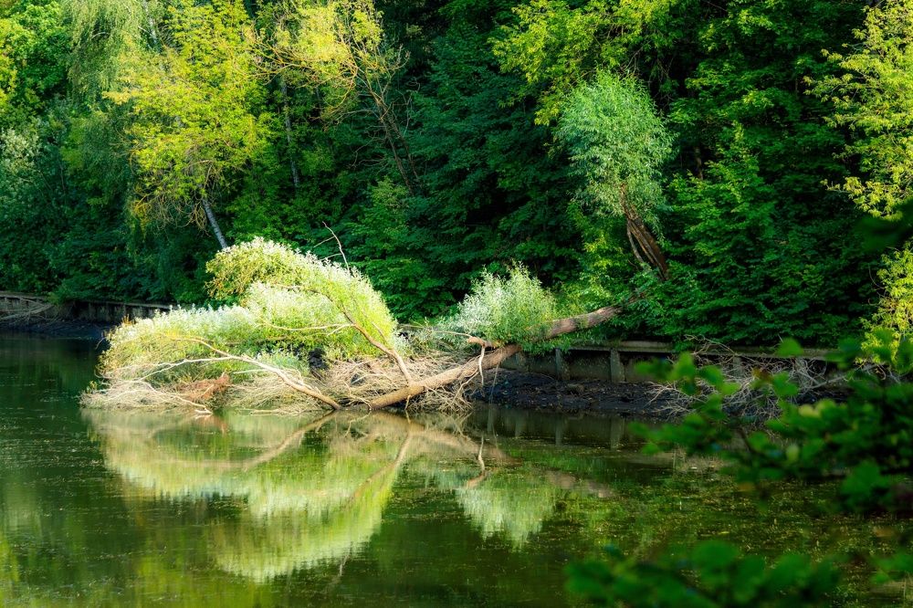 Photograph by Marina Mossiy